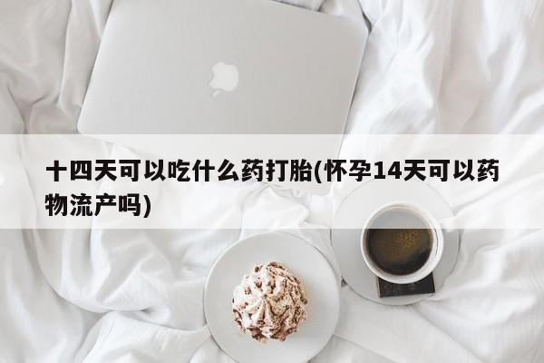 流产药网上购买十四天可以吃什么药打胎(怀孕14天可以药物流产吗)